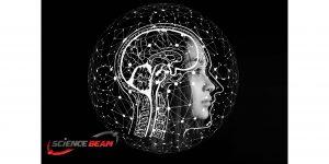 brain tomor